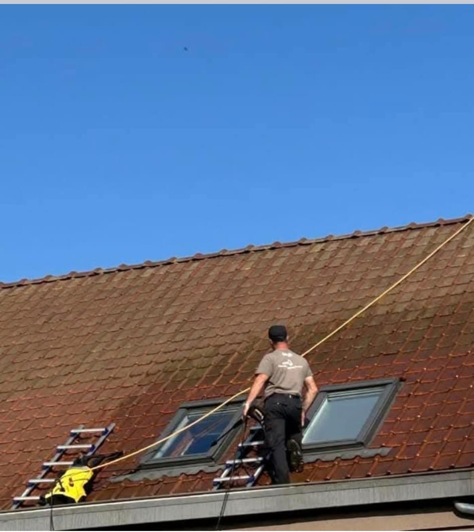 Ontmossen van daken realisatie 3 — Renibo Bouw